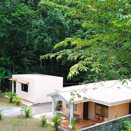 Alma Del Bosque Vacation Home And Apartments Quepos Dış mekan fotoğraf