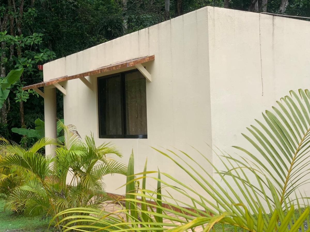 Alma Del Bosque Vacation Home And Apartments Quepos Dış mekan fotoğraf